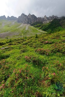 Pflerschtal valley