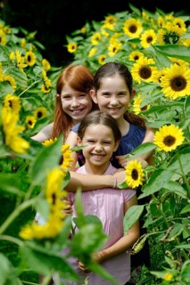 Girls in a sunflower field
