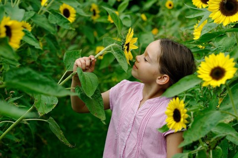 Girl in a sunflower field