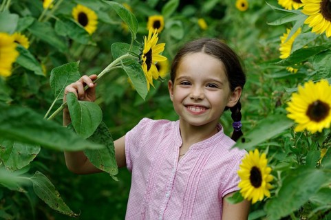 Girl in a sunflower field