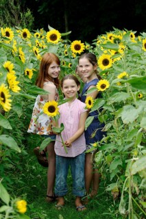 Girls in a sunflower field