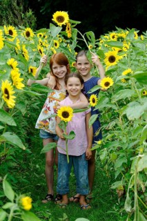 Girls in a sunflower field