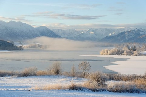 Winter landscape