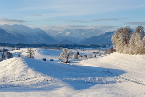 Winter landscape