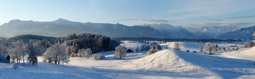 Winter landscape