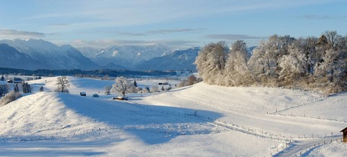 Winter landscape