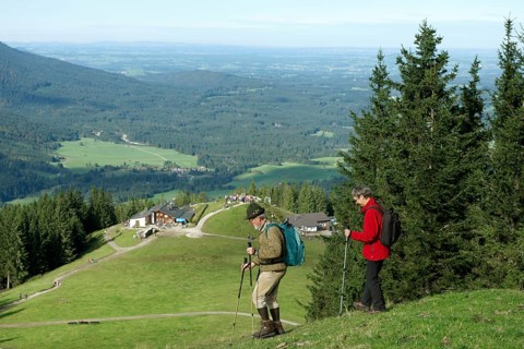 Hikers walking on a path from Mittleres Hoernle mountain to Lechrain