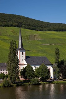 Village of Piesport with the Parish Church surrounded by vineyards