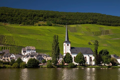 Village of Piesport with the Parish Church surrounded by vineyards
