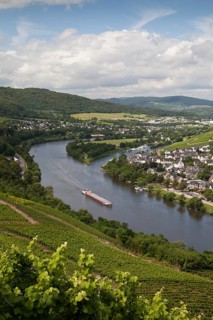 View from the Burg Landshut castle ruins on the Moselle and the Kues district