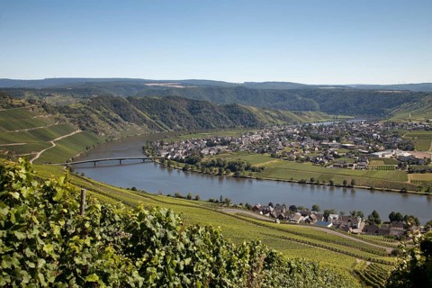 Moselle Valley near Piesport