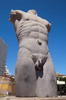 Torso
