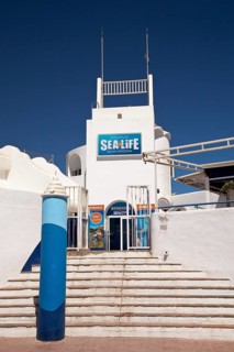 Sealife Aquarium at the port