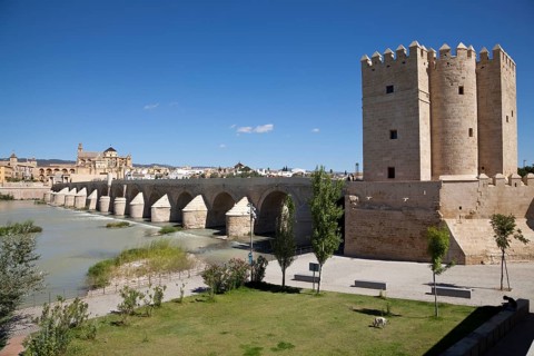 View of the Torre de la Calahorra tower