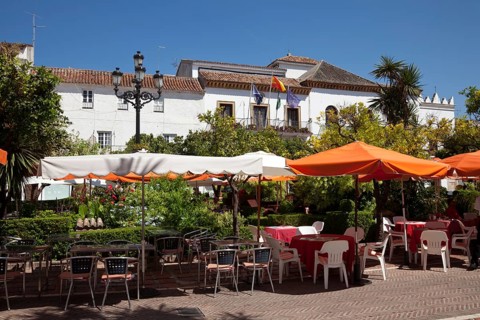 Orange Tree Square