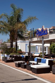 Restaurant and palm trees on the promenade