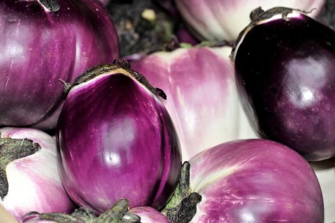 Melanzane Viola