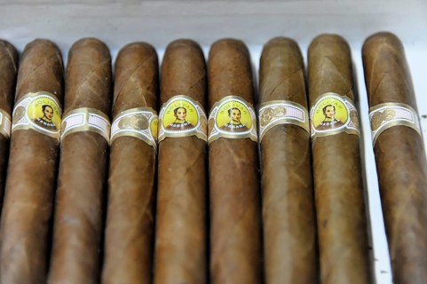 Bolivar cigars in a tobacco shop