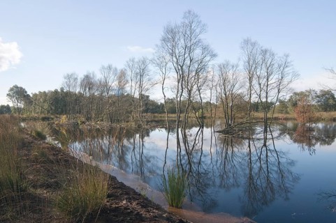 Rehydration of former wetlands