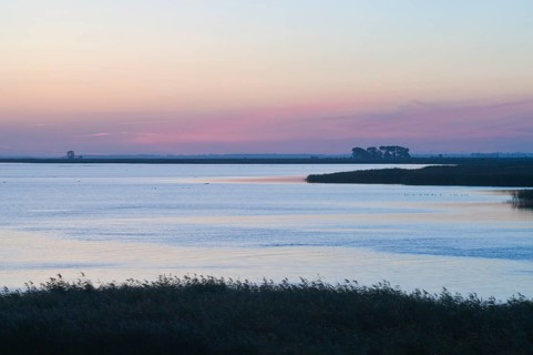 Bodden at dawn