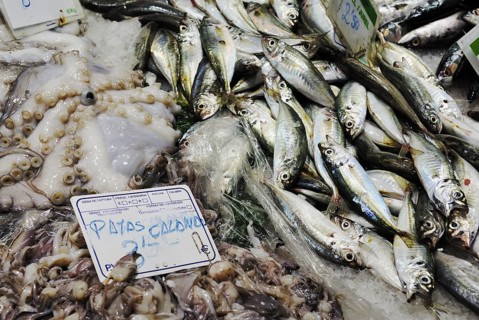 Various fresh fish
