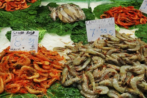 Shrimps on sale