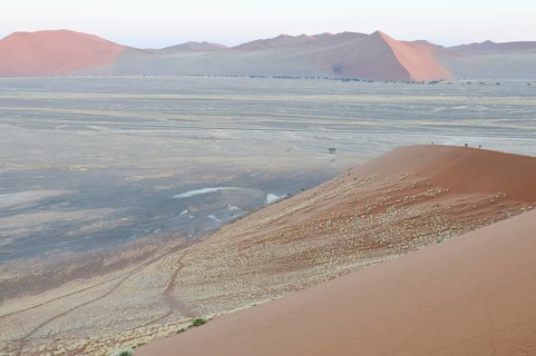 View from Dune 45 on a desert landscape with dunes at dawn