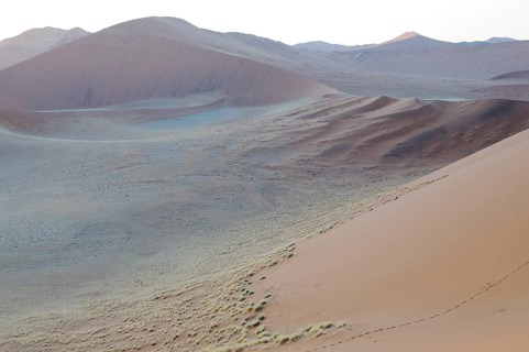 View from Dune 45 on a desert landscape with dunes at dawn