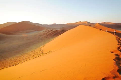 Early morning view from Dune 45 on a desert landscape with dunes