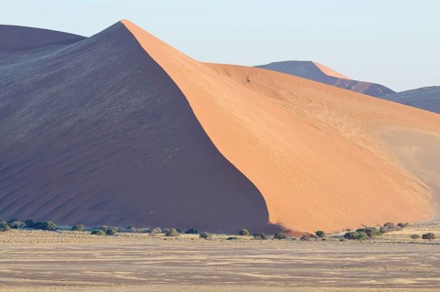 Early morning view from Dune 45 on a desert landscape with dunes
