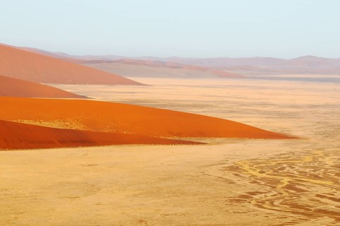 Early morning view from Dune 45 on a desert landscape with dunes