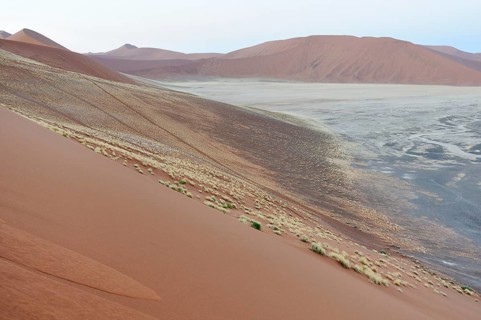 View from Dune 45 on a desert landscape with dunes at dawn