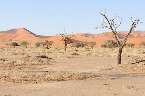 Dune landscape at Sossusvlei