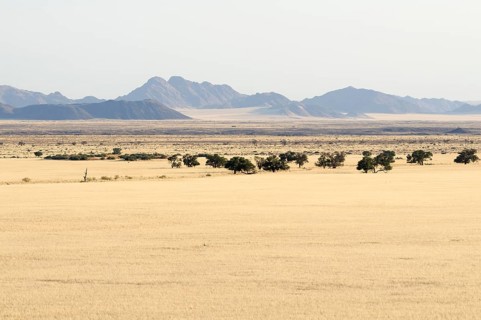 View from Elim Dune