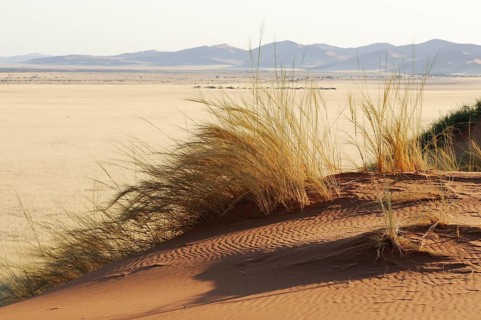Elim Dune