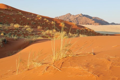 View from Elim Dune towards the Naukluft Mountains