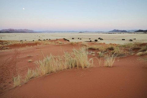 Elim Dune