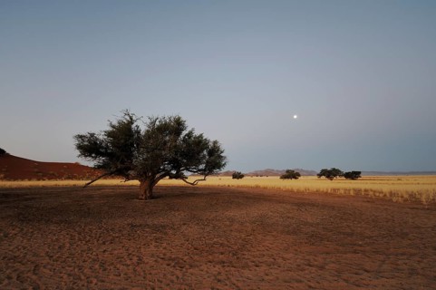 Elim Dune at dusk