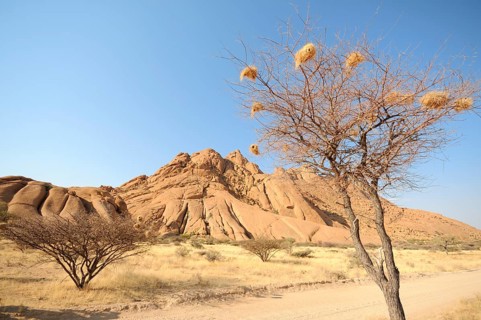 Savannah landscape with granite rocks of the Pontok Mountains