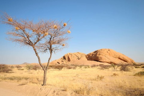 Savannah landscape with granite rocks of the Pontok Mountains