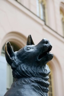 Wolfhound