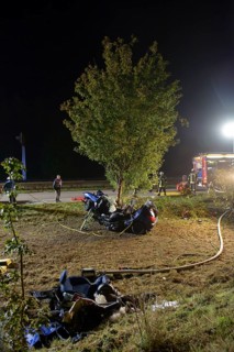 The wreckage of a Peugeot after fatally crashing into a tree