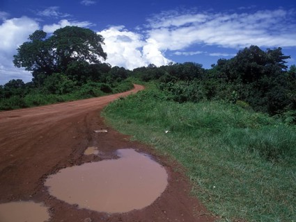Rain puddle on African road