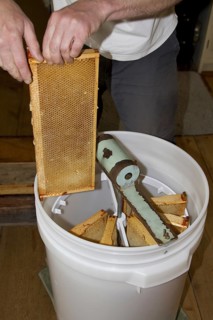 Honeycomb frames are placed into a spinning drum and then spun at high speed to separate the honey from the comb