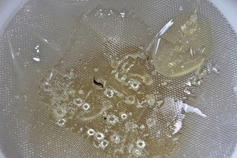 After the honey has been spun from the comb its filtered through two filters into the storage drum