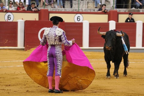 Bullfighting
