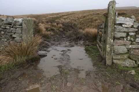 Soil damage by quad bike and puddle in gateway on moorland