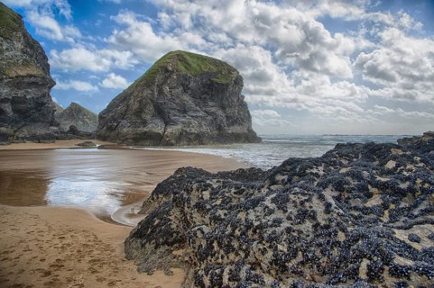 View of beach with slate outcrops