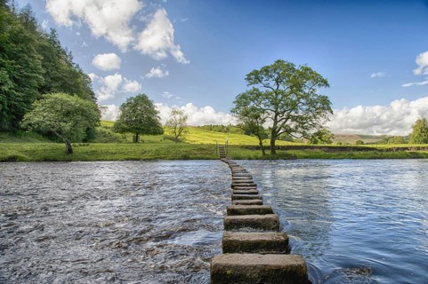 View of stepping stones across river