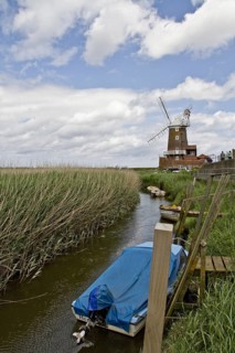 Cley Windmill and the surrounding reedbeds